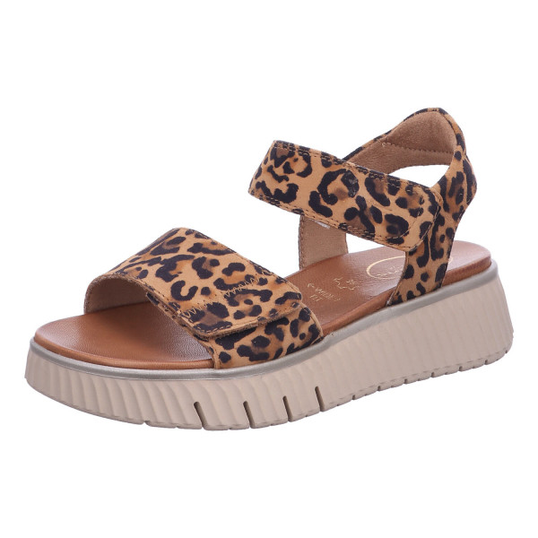 Tamaris Comfort 8-88720-44 903 LEOPARD - Bild 1