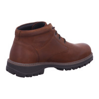 Vorschau: Pius Gabor 0364.52 15 bison - Bild 5 Vorschau: Pius Gabor 0364.52 15 bison - Bild 5