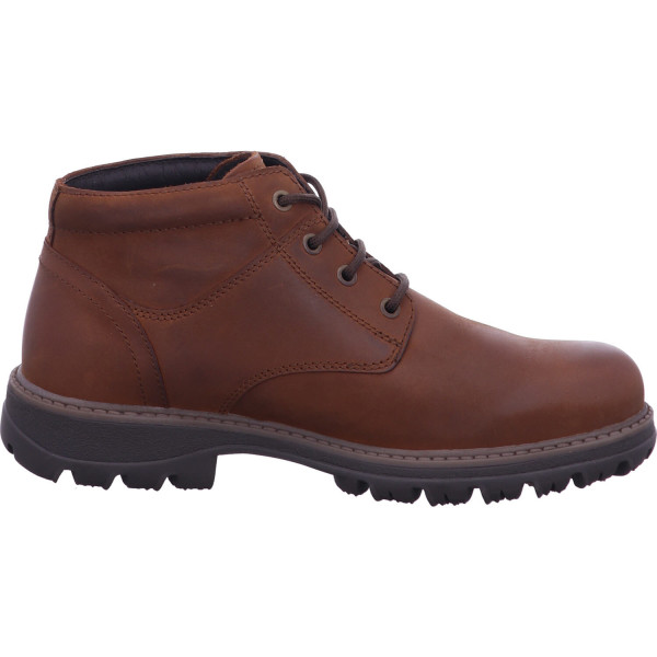 Pius Gabor 0364.52 15 bison - Bild 6