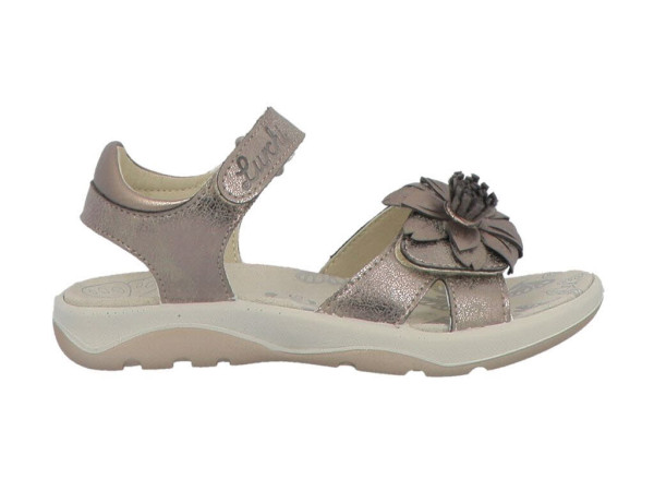 Lurchi 74L2003001 00014 bronze - Bild 1