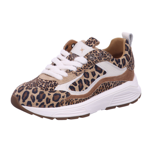 Xsensible 33004.4/625-G Milau Leopard - Bild 1