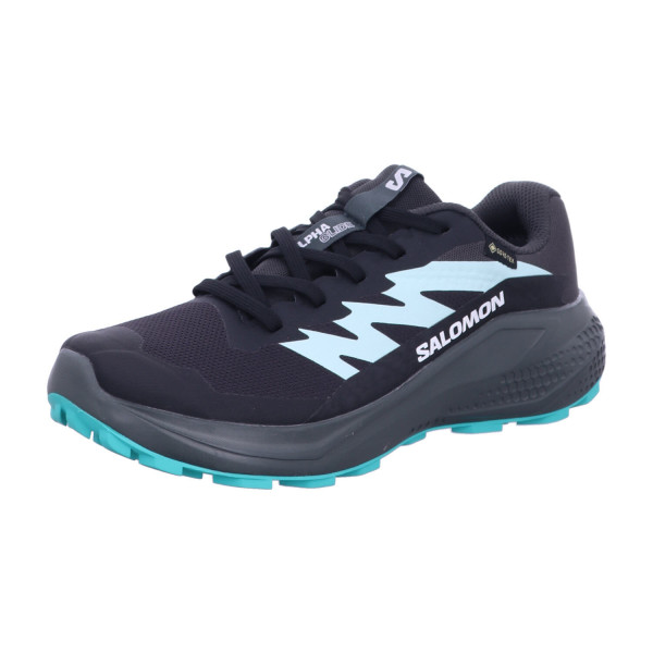 SALOMON L47802400 333 ALPHAGLIDE GTX W Phantom / Urban Chic - Bild 1