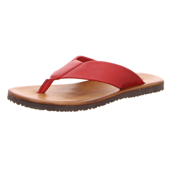 M7411 AMARANTO rot - Bild 1