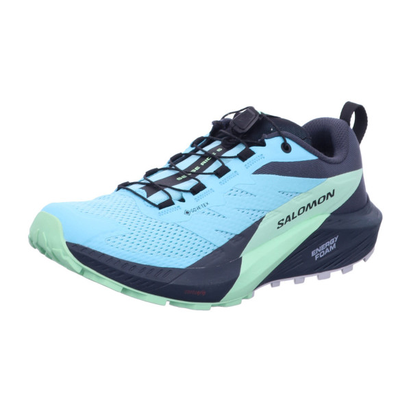 SALOMON L47216000 SENSE RIDE 5 GTX W Blue Radiance/Green - Bild 1