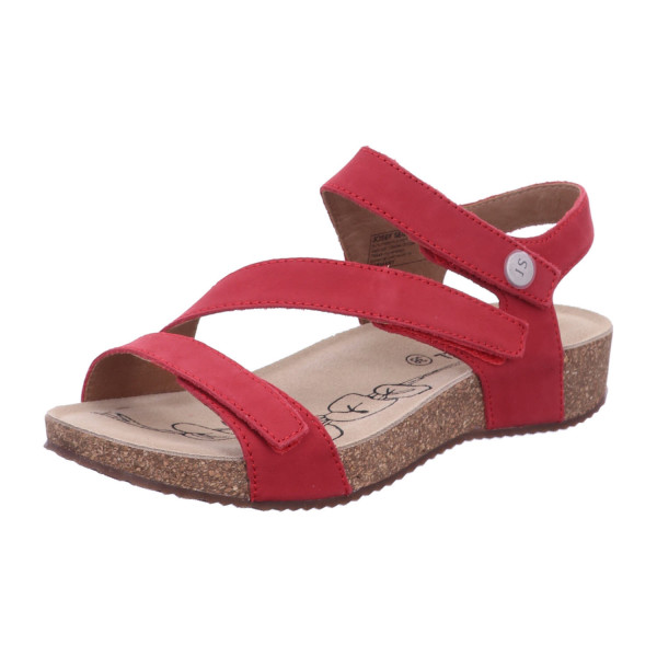 SEIBEL 78519380 564 Tonga orchidee - Bild 1