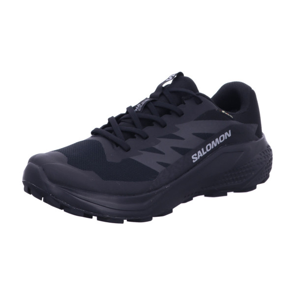 SALOMON L47802100 111 ALPHAGLIDE GTX Black / Asphalt / Bl - Bild 1